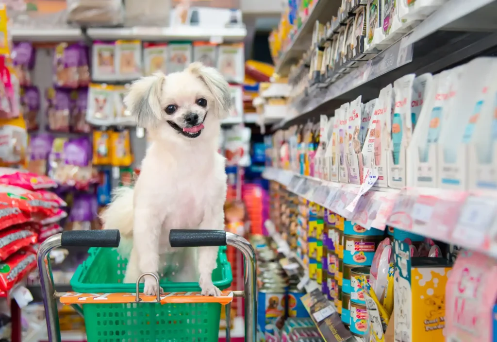 پت شاپ شبانه روزی | بیمارستان تخصصی شبانه‌روزی دامپزشکی الیت