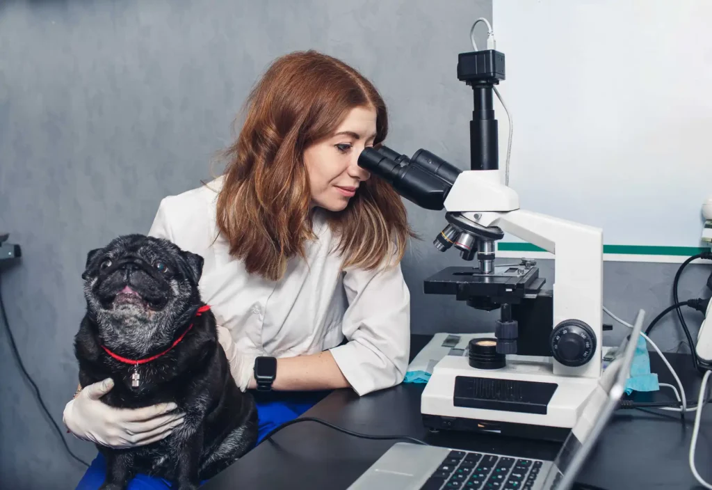 آزمایشگاه | بیمارستان تخصصی شبانه‌روزی دامپزشکی الیت